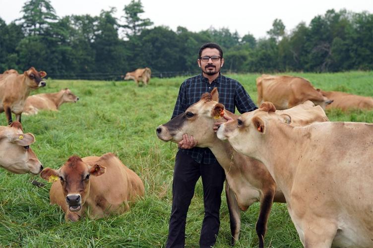 主要研究研究生Adeel Arshad站在被奶牛包围的田野里的照片.